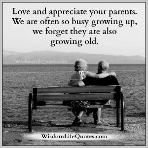 Love & appreciate your parents | Wisdom Life Quotes