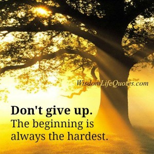 The beginning is always the hardest | Wisdom Life Quotes