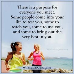 There is a purpose for everyone you meet | Wisdom Life Quotes