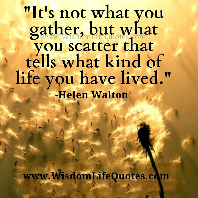 What kind of life you have lived? - Wisdom Life Quotes